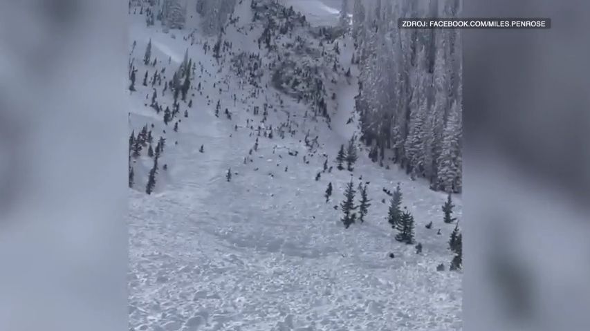 Video: Lyžaři natočili lavinu z bezprostřední blízkosti, čtyři stála život